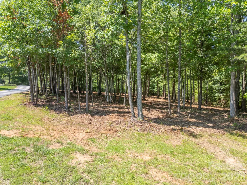 00 Doveridge Drive #66 Columbus, NC 28722