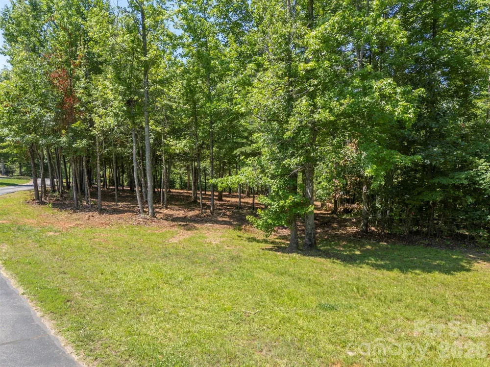 00 Doveridge Drive #66 Columbus, NC 28722