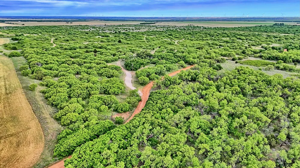 CR 4371 Goree, TX 76363