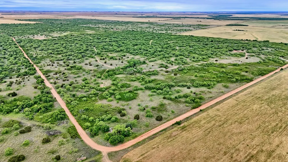 CR 4371 Goree, TX 76363