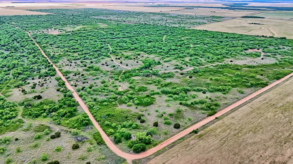 CR 4371 Goree, TX 76363