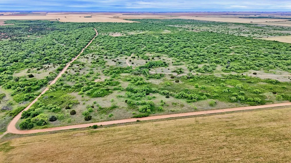 CR 4371 Goree, TX 76363