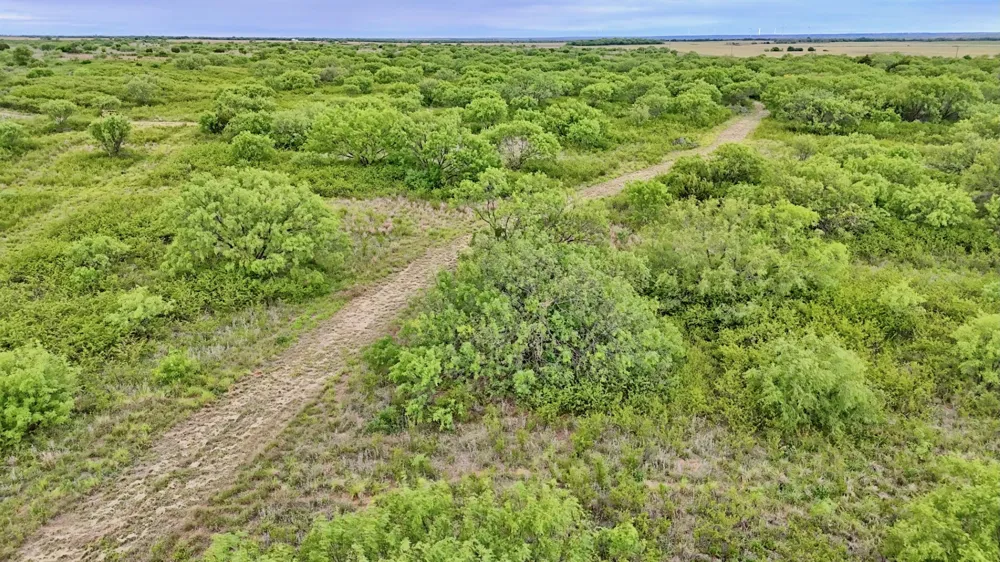 CR 4371 Goree, TX 76363