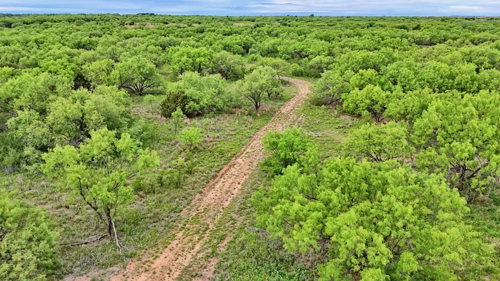 CR 4371 Goree, TX 76363