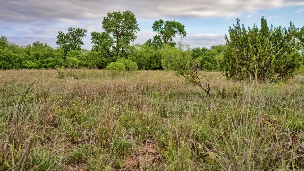 CR 4371 Goree, TX 76363