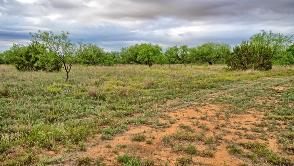 CR 4371 Goree, TX 76363