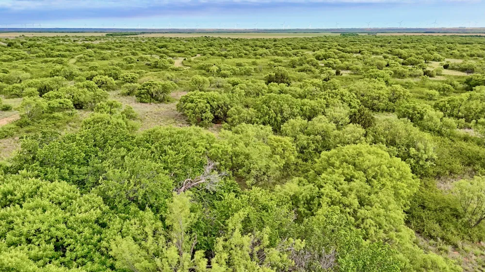 CR 4371 Goree, TX 76363