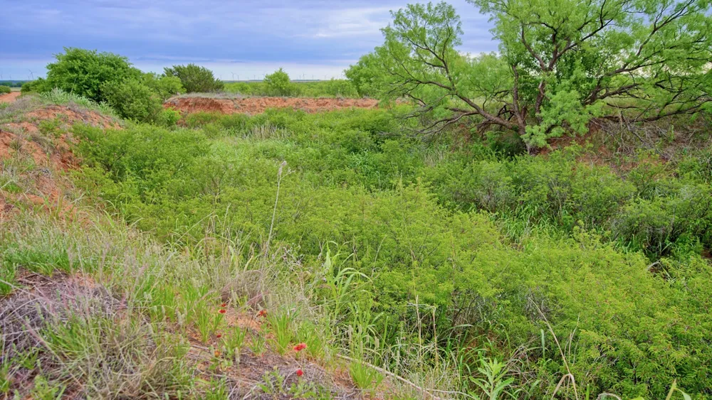 CR 4371 Goree, TX 76363