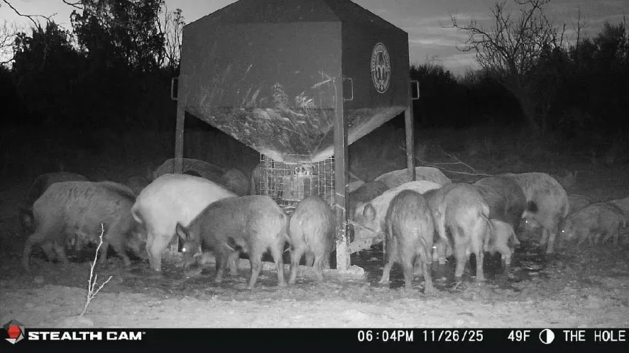 CR 4371 Goree, TX 76363