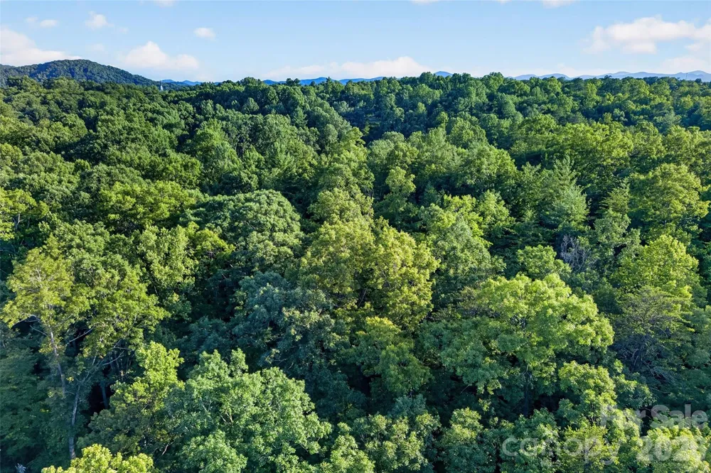 00 Yancey Road Marion, NC 28752