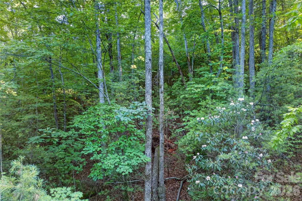 00 Yancey Road Marion, NC 28752