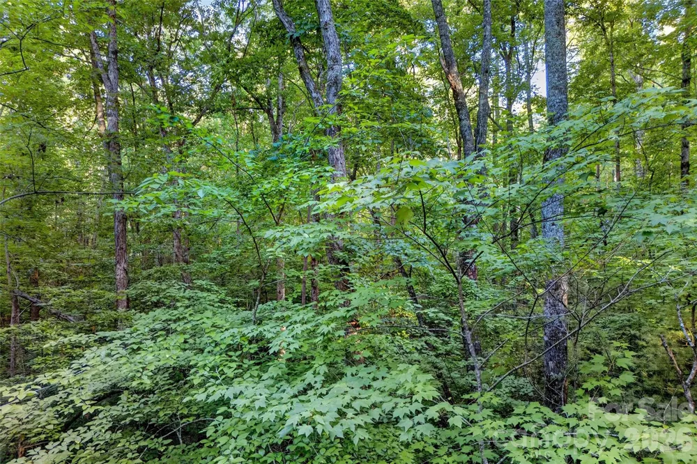 00 Yancey Road Marion, NC 28752