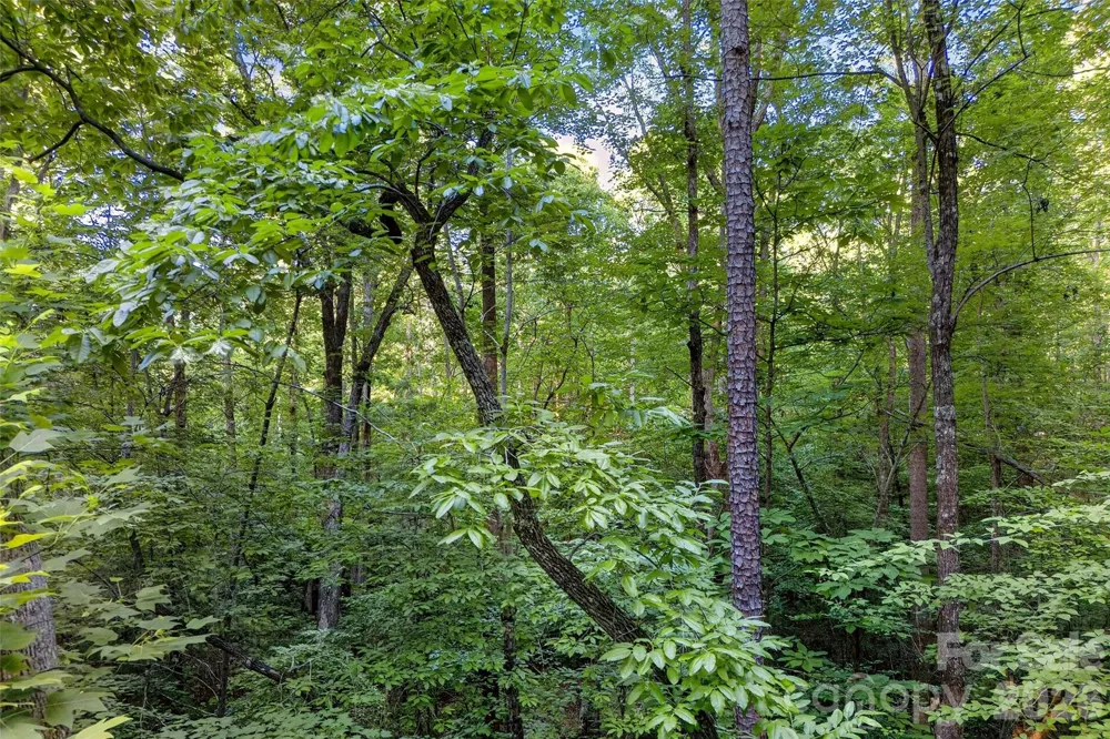 00 Yancey Road Marion, NC 28752