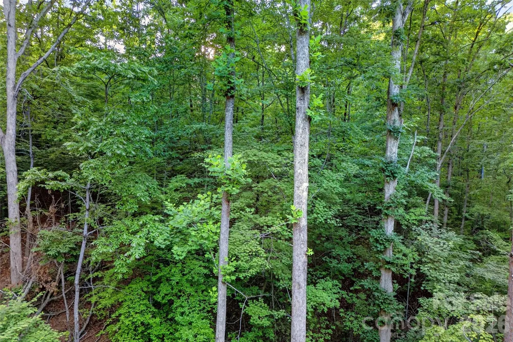 00 Yancey Road Marion, NC 28752