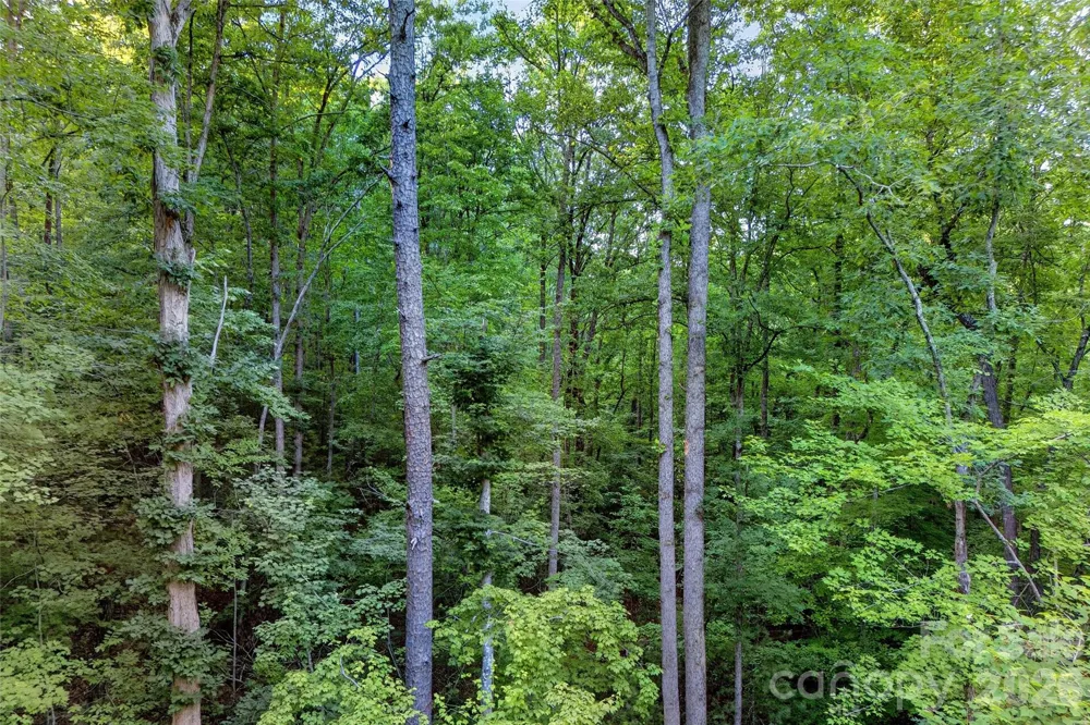 00 Yancey Road Marion, NC 28752