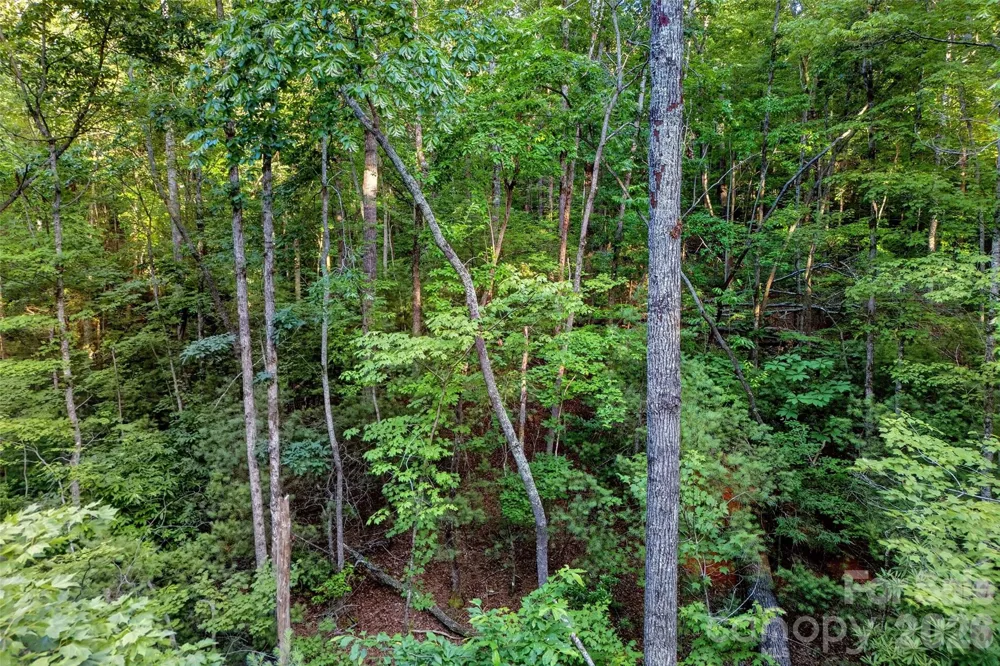 00 Yancey Road Marion, NC 28752