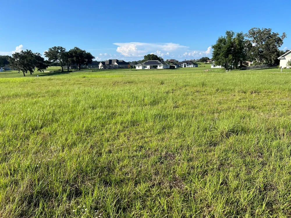 NW 79th Loop ocala, FL 34475