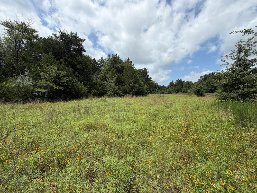 Lcr 758 Thornton, TX 76687