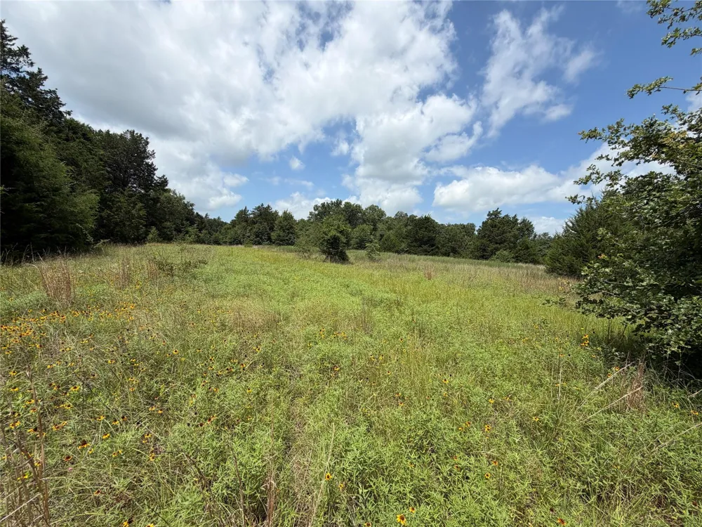 Lcr 758 Thornton, TX 76687