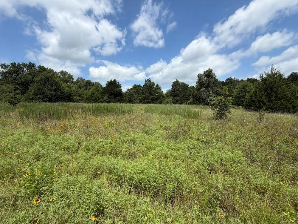 Lcr 758 Thornton, TX 76687