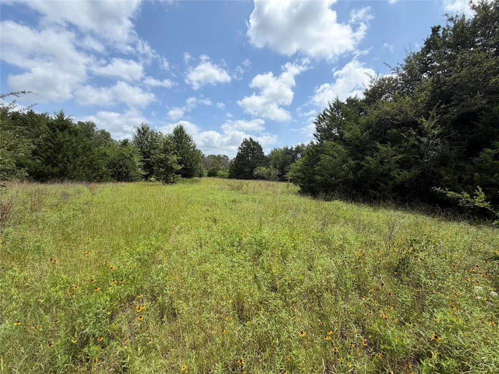 Lcr 758 Thornton, TX 76687