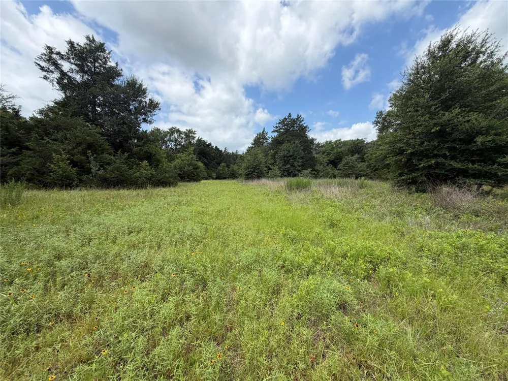 Lcr 758 Thornton, TX 76687
