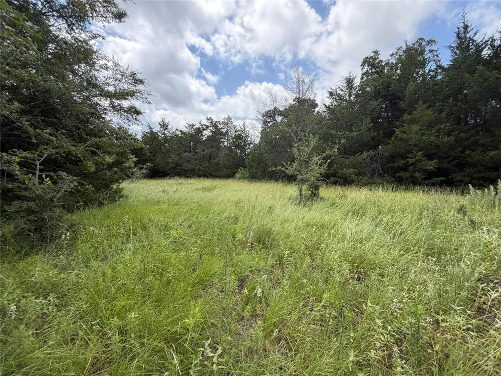 Lcr 758 Thornton, TX 76687