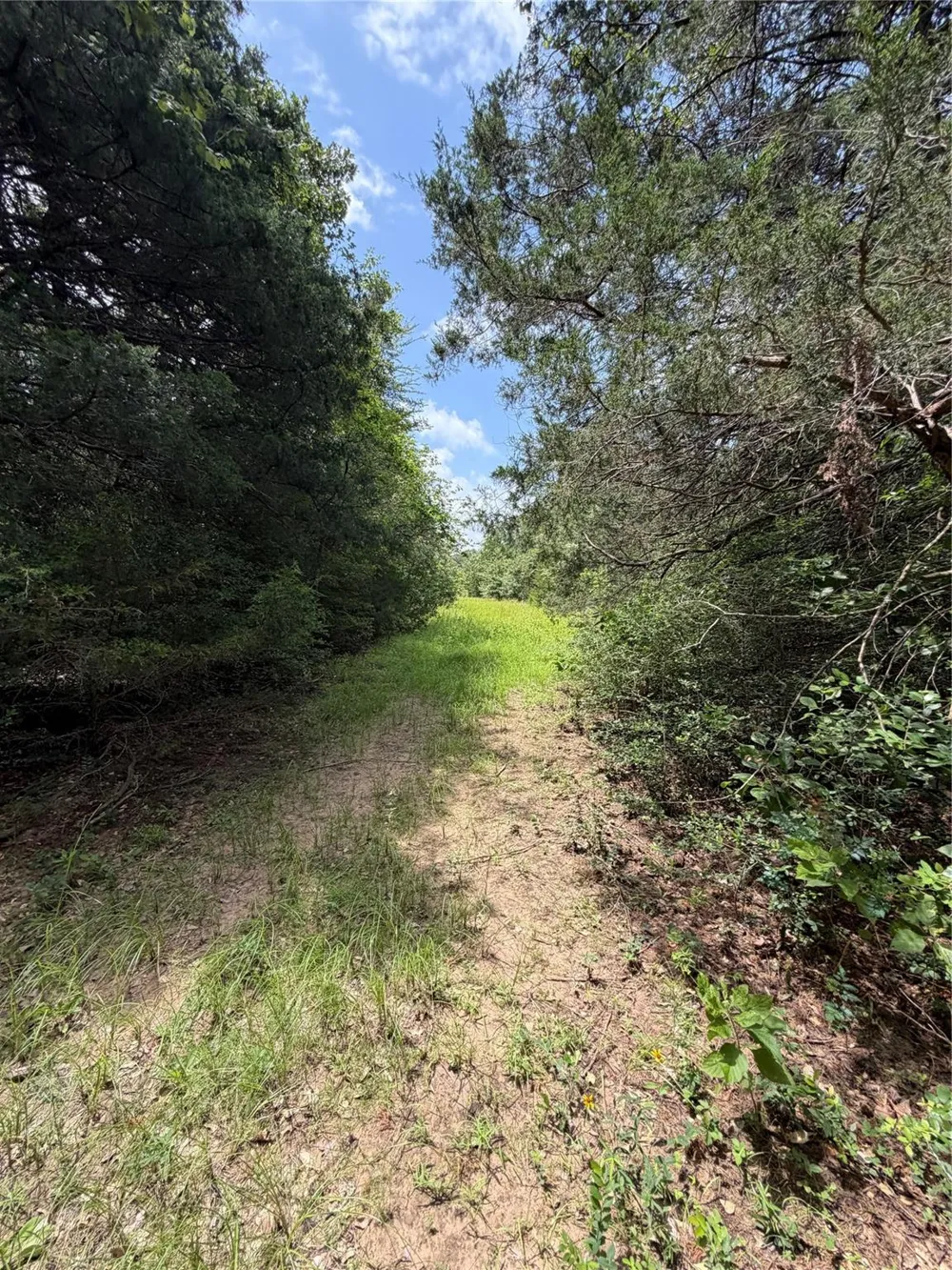 Lcr 758 Thornton, TX 76687