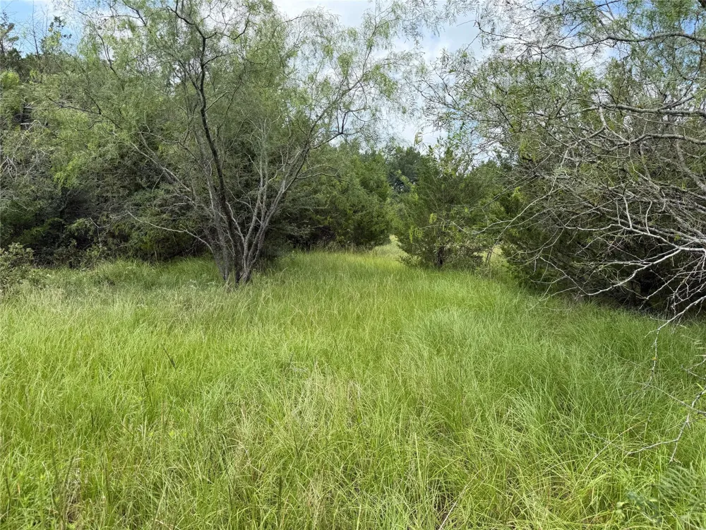 Lcr 758 Thornton, TX 76687