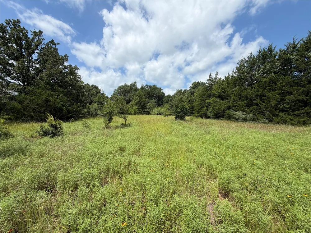 Lcr 758 Thornton, TX 76687