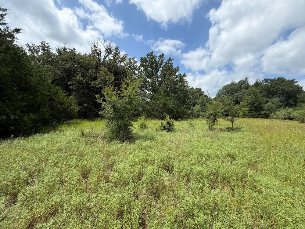 Lcr 758 Thornton, TX 76687