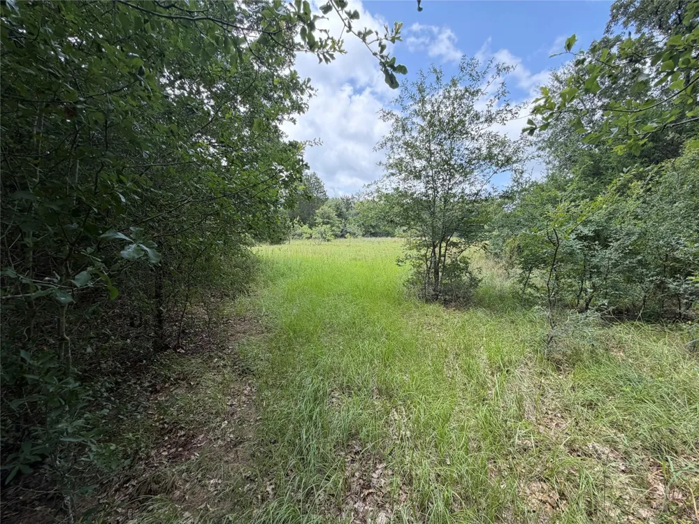 Lcr 758 Thornton, TX 76687