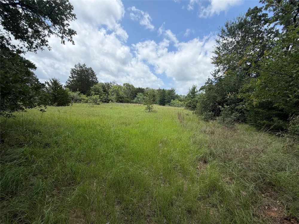 Lcr 758 Thornton, TX 76687