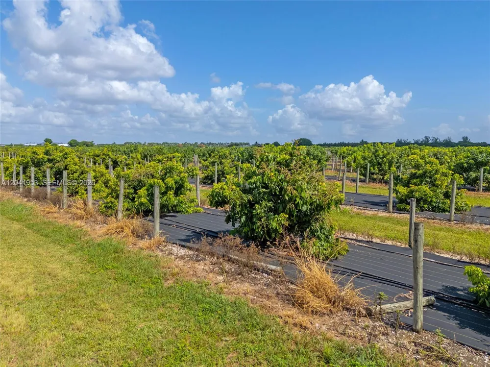 320 Sw 217 Ave Homestead, FL 33030