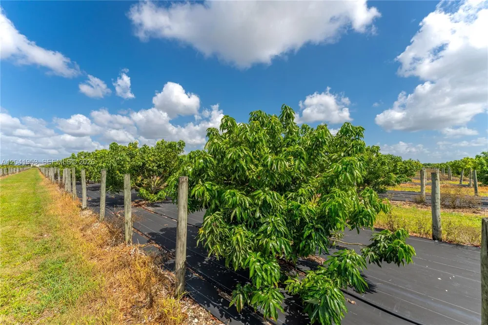 320 Sw 217 Ave Homestead, FL 33030