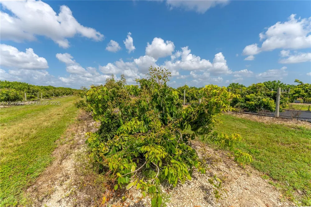 320 Sw 217 Ave Homestead, FL 33030