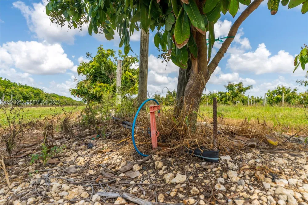 320 Sw 217 Ave Homestead, FL 33030