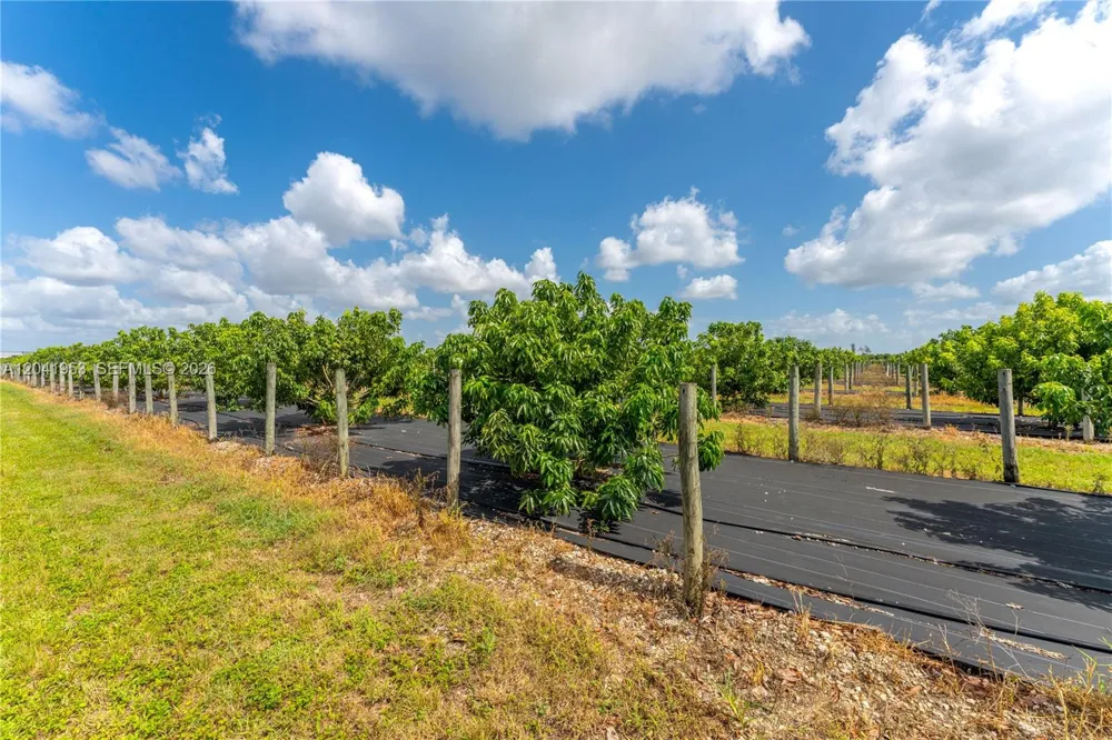 320 Sw 217 Ave Homestead, FL 33030