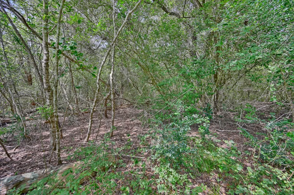 FM 2981 Fayetteville, TX 78940