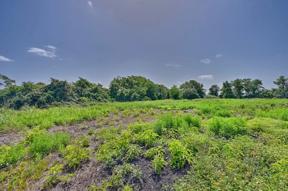 FM 2981 Fayetteville, TX 78940