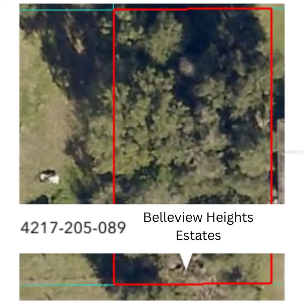 SE 141ST PLACE Summerfield, FL 34491