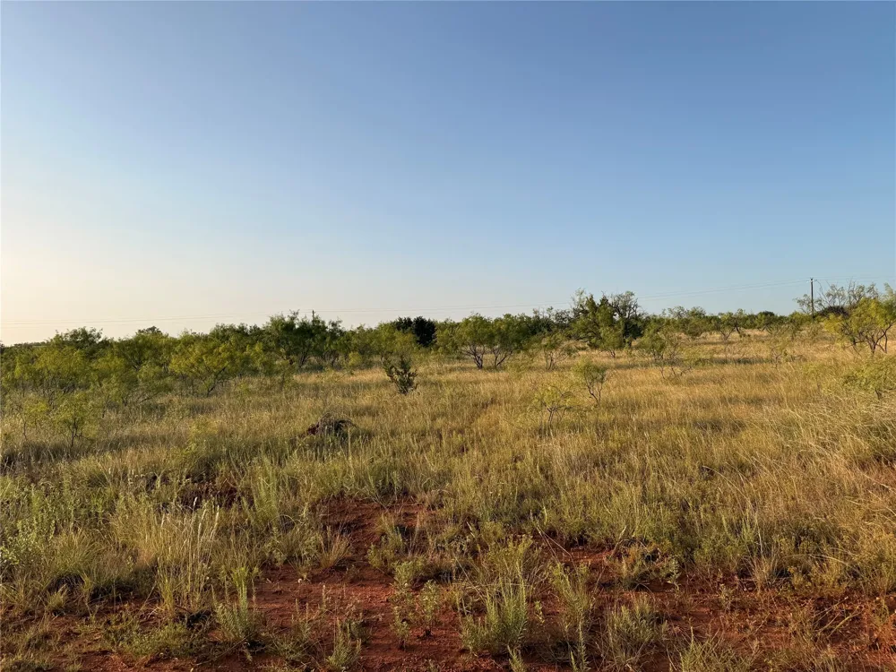 TR 3 FM 604 Ovalo, TX 79541