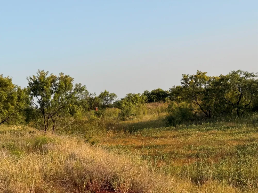 TR 3 FM 604 Ovalo, TX 79541