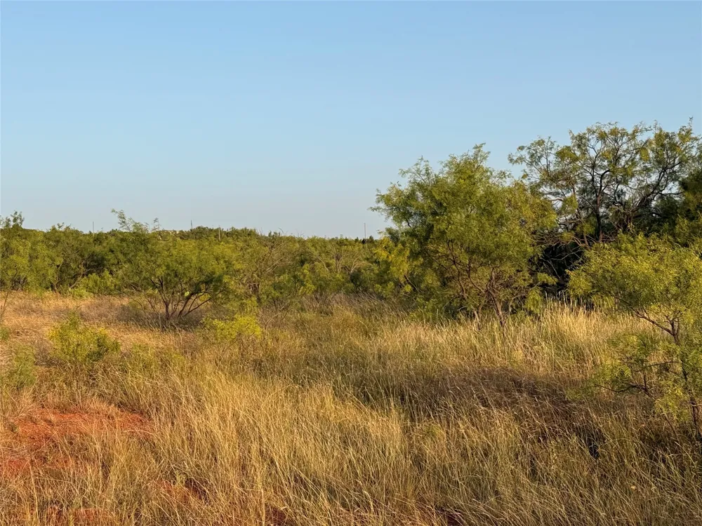 TR 3 FM 604 Ovalo, TX 79541