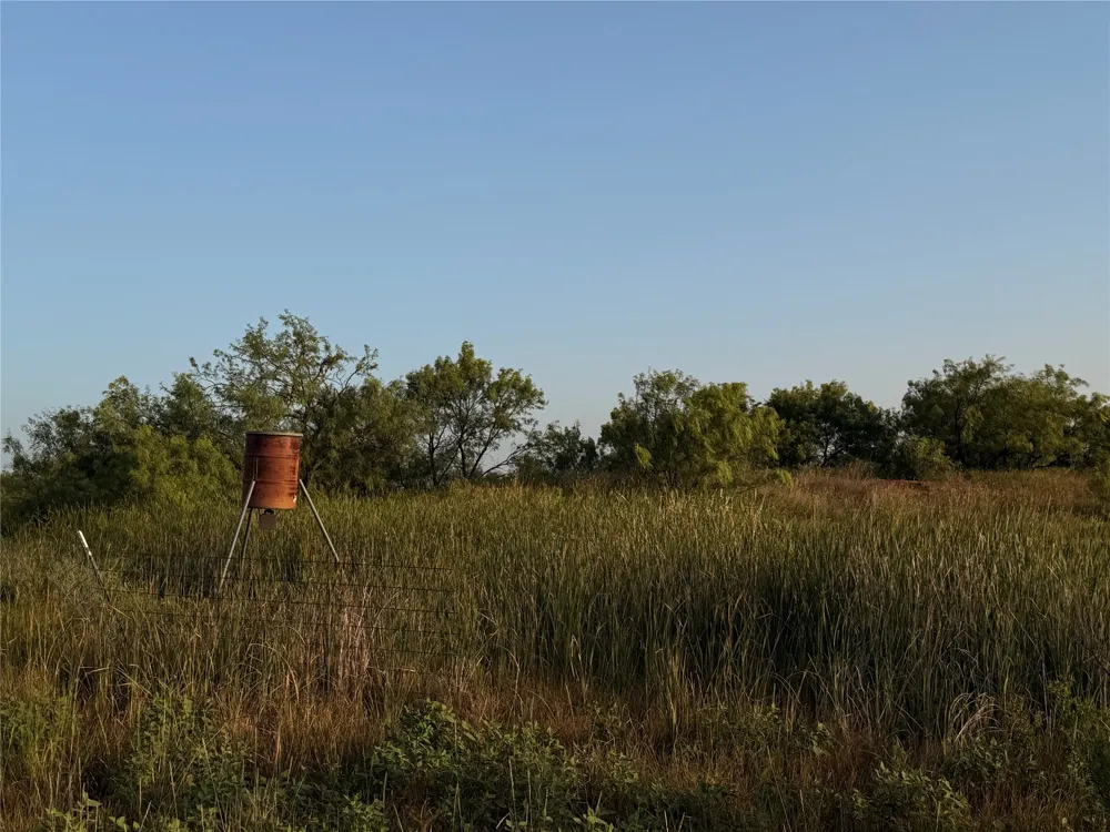 TR 3 FM 604 Ovalo, TX 79541