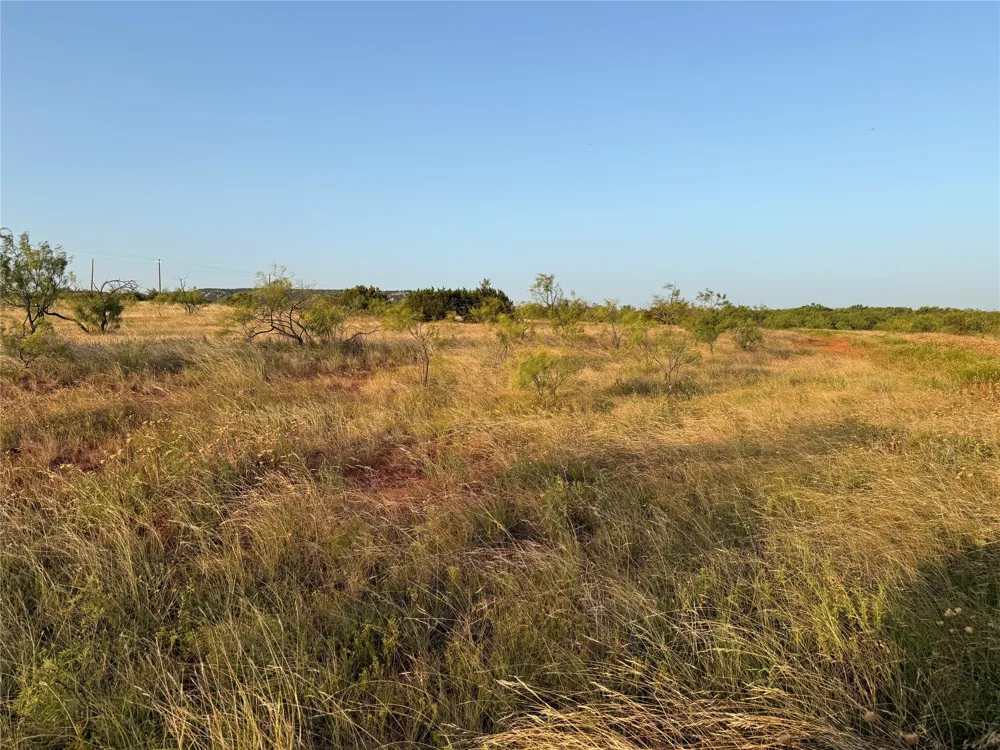 TR 3 FM 604 Ovalo, TX 79541