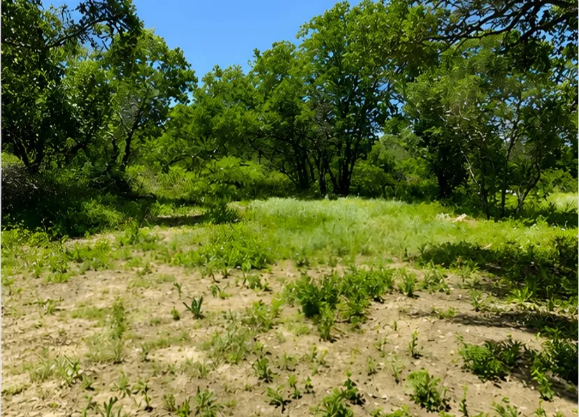 7007 Killarney Drive Brownwood, TX 76801