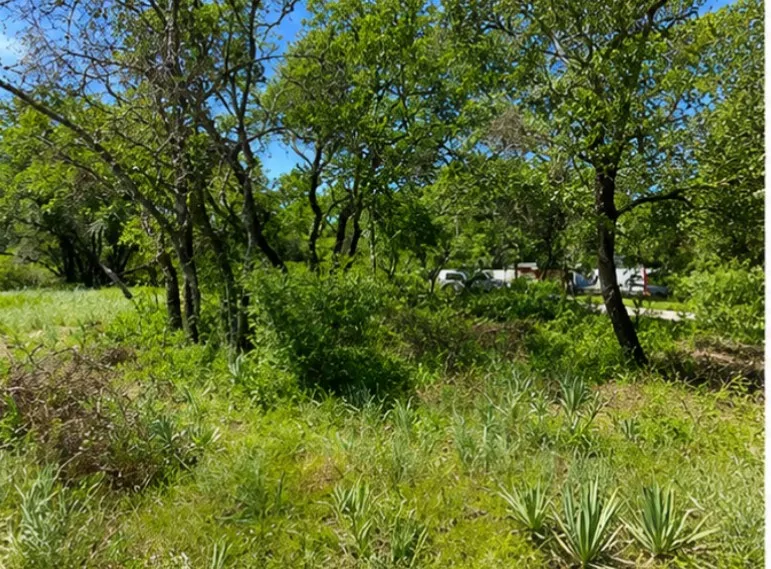 7007 Killarney Drive Brownwood, TX 76801