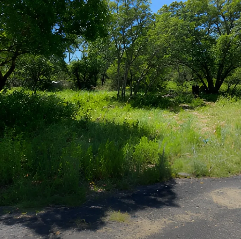 7007 Killarney Drive Brownwood, TX 76801