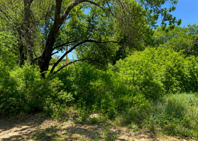 7007 Killarney Drive Brownwood, TX 76801